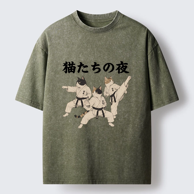 Tokyo-Tiger Funny Karate Cats Black Belt Meme Washed T-Shirt
