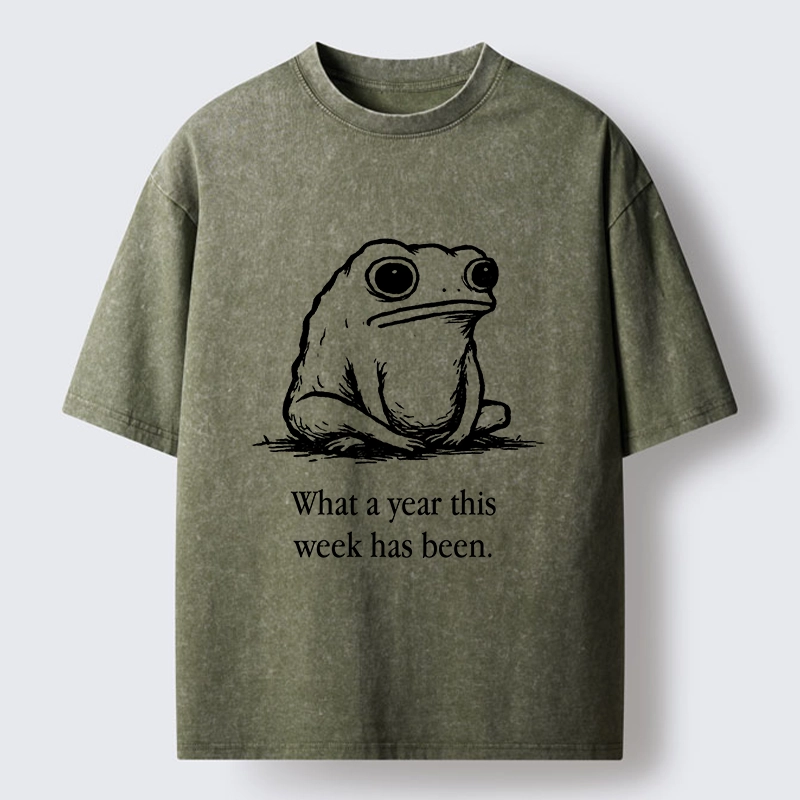 Tokyo-Tiger This Week Feels Like A Whole Year Washed T-Shirt