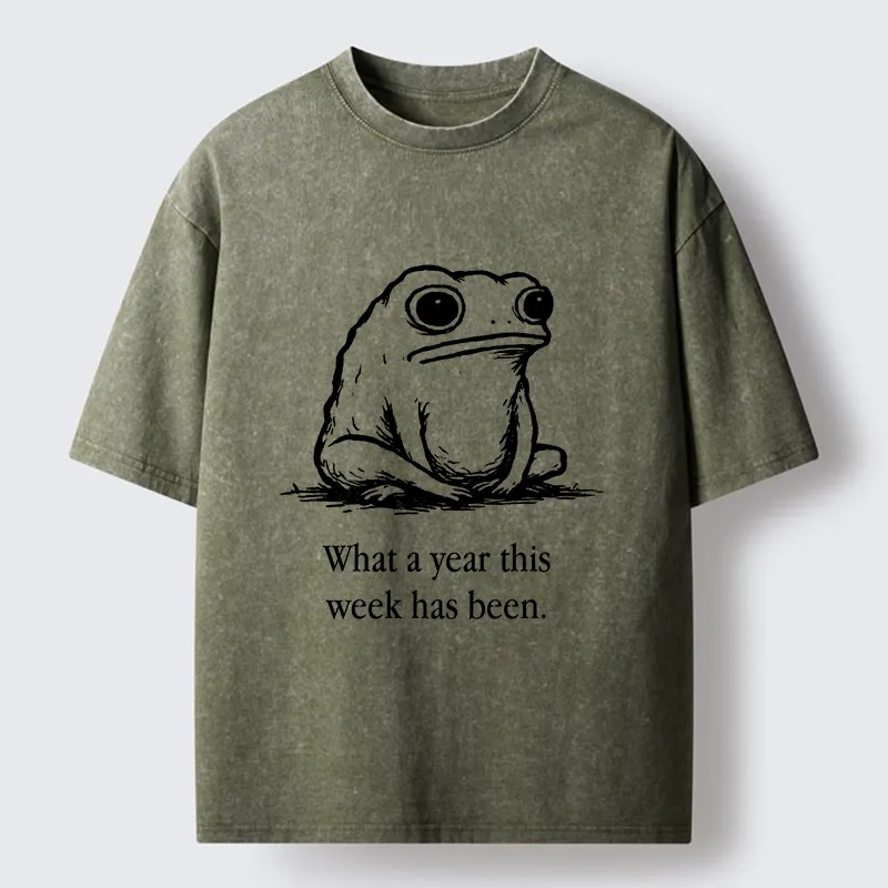 Tokyo-Tiger This Week Feels Like A Whole Year Washed T-Shirt
