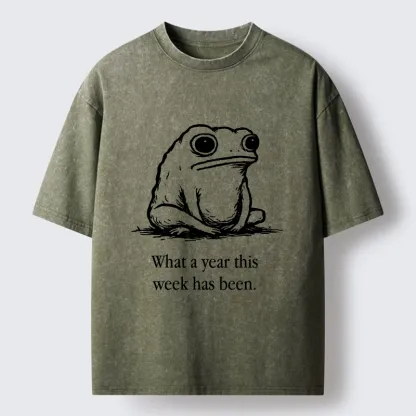 Tokyo-Tiger This Week Feels Like A Whole Year Washed T-Shirt