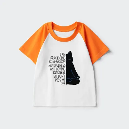Tokyo-Tiger Calm Black Cat With Anger Issues Kids Raglan T-shirt