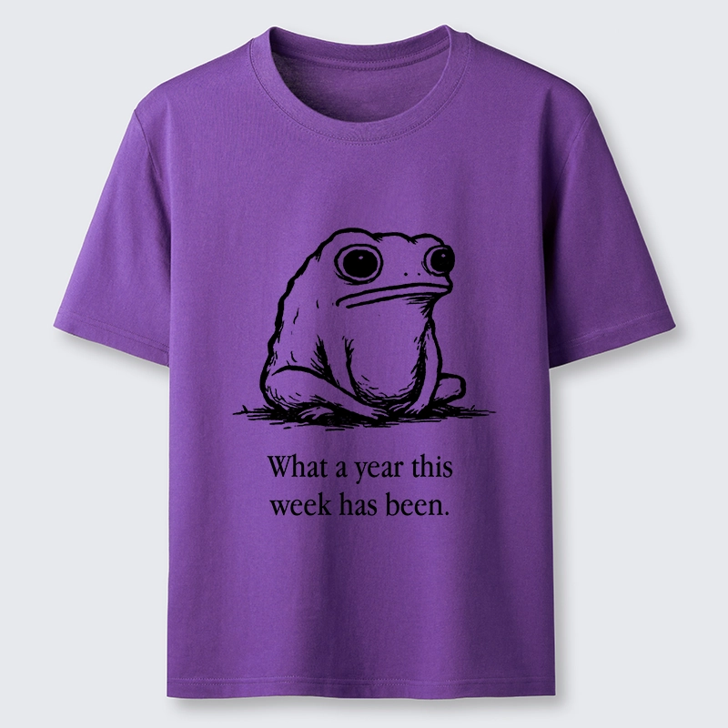 Tokyo-Tiger This Week Feels Like A Whole Year Classic T-Shirt