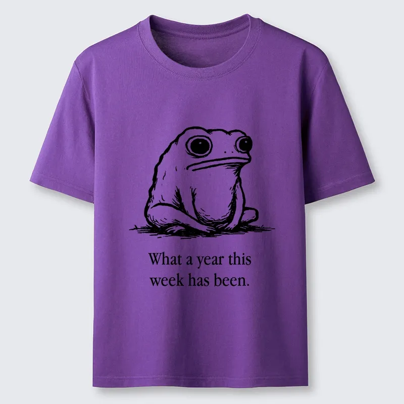 Tokyo-Tiger This Week Feels Like A Whole Year Classic T-Shirt