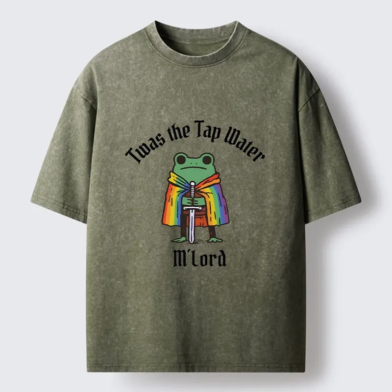 Tokyo-Tiger Funny Rainbow Cloak Frog With Sharp Sword Washed T-Shirt