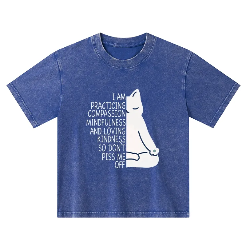 Tokyo-Tiger Calm Black Cat With Anger Issues Kids Washed T-Shirt