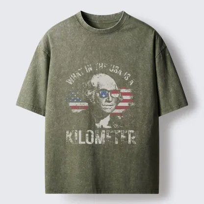 Tokyo-Tiger Patriotic Flag Lens Washington Humor Design Washed T-Shirt