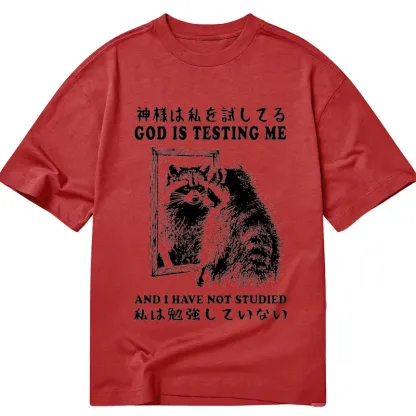 Tokyo-Tiger Raccoon Not Studied Classic T-Shirt