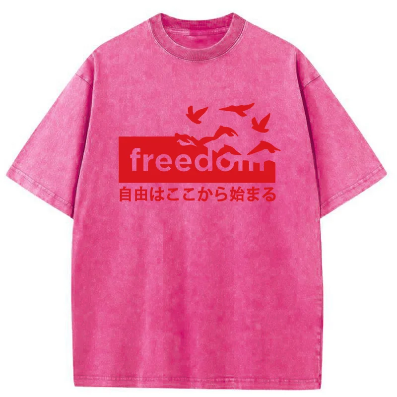 Tokyo-Tiger Freedom Japanese Washed T-Shirt