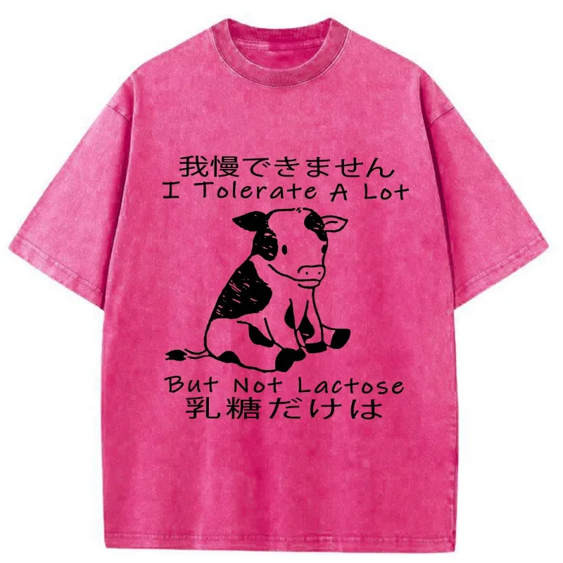 Tokyo-Tiger I Can't Tolerate Lactose Washed T-Shirt