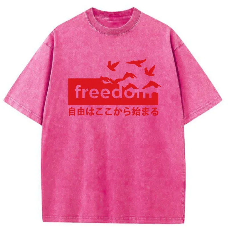 Tokyo-Tiger Freedom Japanese Washed T-Shirt