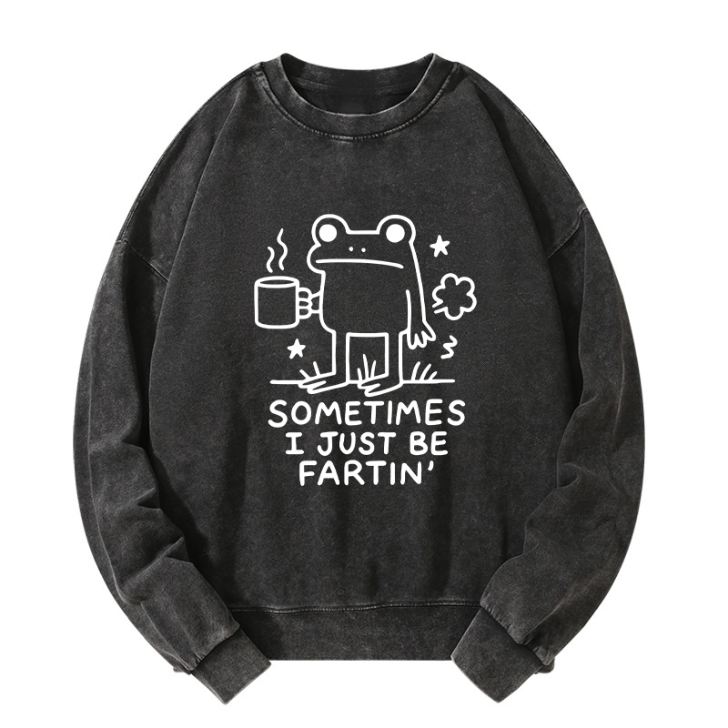 Tokyo-Tiger Sometimes A Frog Just Needs To Fart Washed Sweatshirt