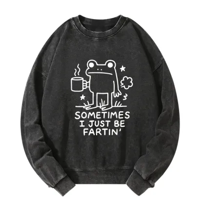 Tokyo-Tiger Sometimes A Frog Just Needs To Fart Washed Sweatshirt