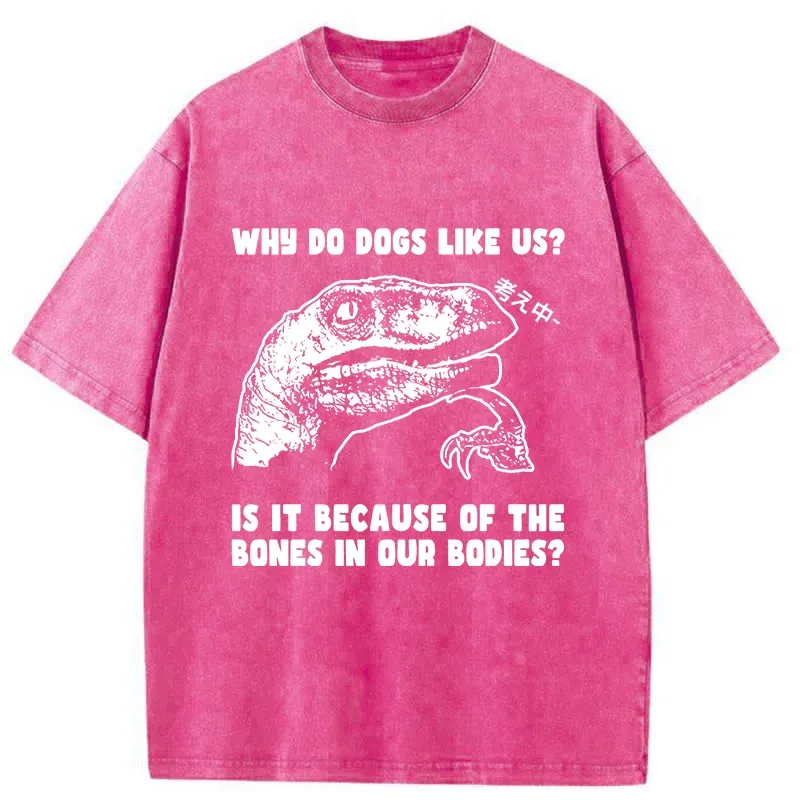 Tokyo-Tiger Thinking Philosoraptor Washed T-Shirt