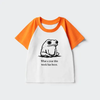 Tokyo-Tiger This Week Feels Like A Whole Year Kids Raglan T-shirt