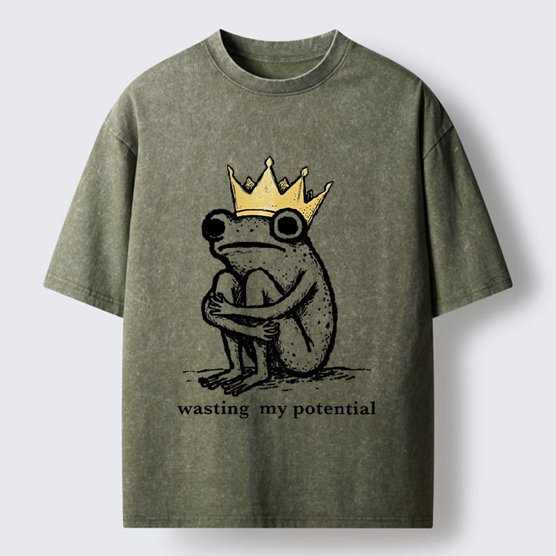 Tokyo-Tiger Crown Frog Wasted Potential Meme Washed T-Shirt