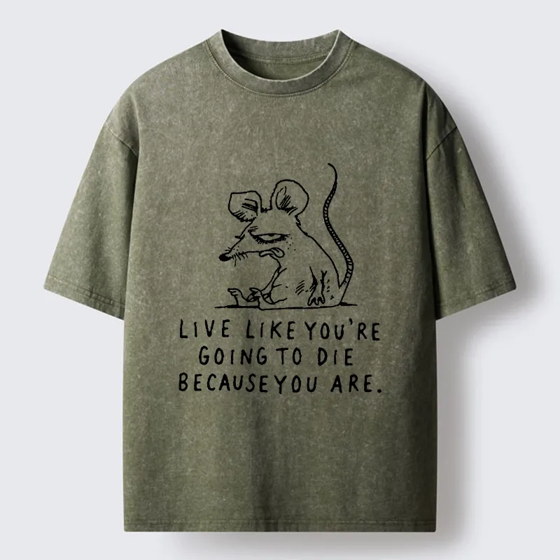 Tokyo-Tiger Funny Meme Sarcastic Rat Life Truth Washed T-Shirt Sale