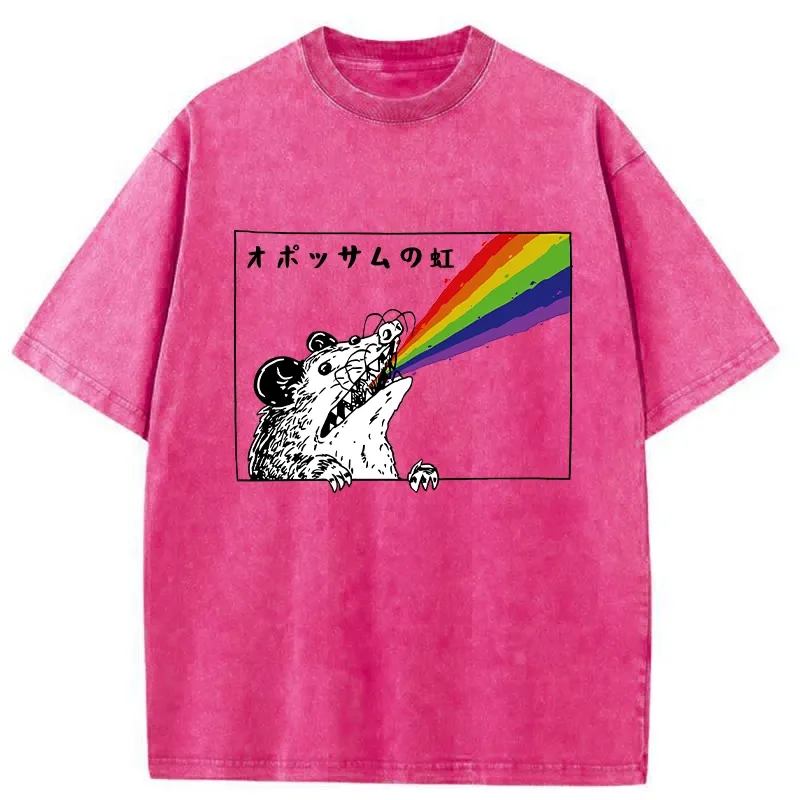 Tokyo-Tiger Opossum Rainbow Washed T-Shirt