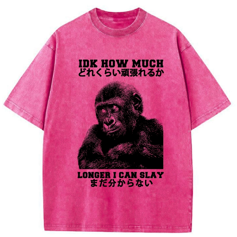 Tokyo-Tiger I Don't Know How Long I Can Slay Washed T-Shirt