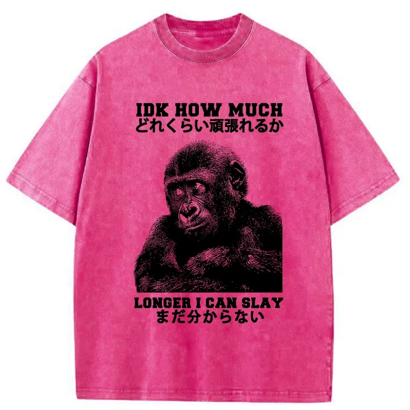 Tokyo-Tiger I Don't Know How Long I Can Slay Washed T-Shirt