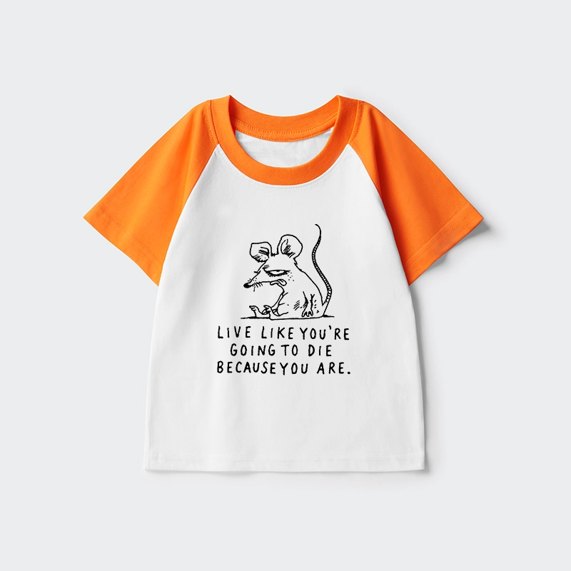 Tokyo-Tiger Funny Meme Sarcastic Rat Life Truth Kids Raglan T-shirt