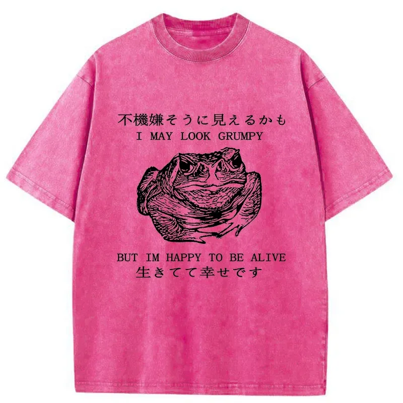 Tokyo-Tiger Emotionally Calm Frog Washed T-Shirt