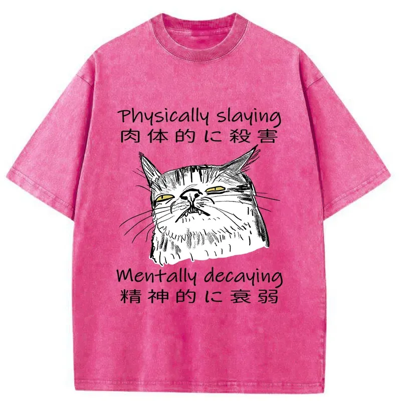Tokyo-Tiger Physically Slaying Mentally Decaying Washed T-Shirt