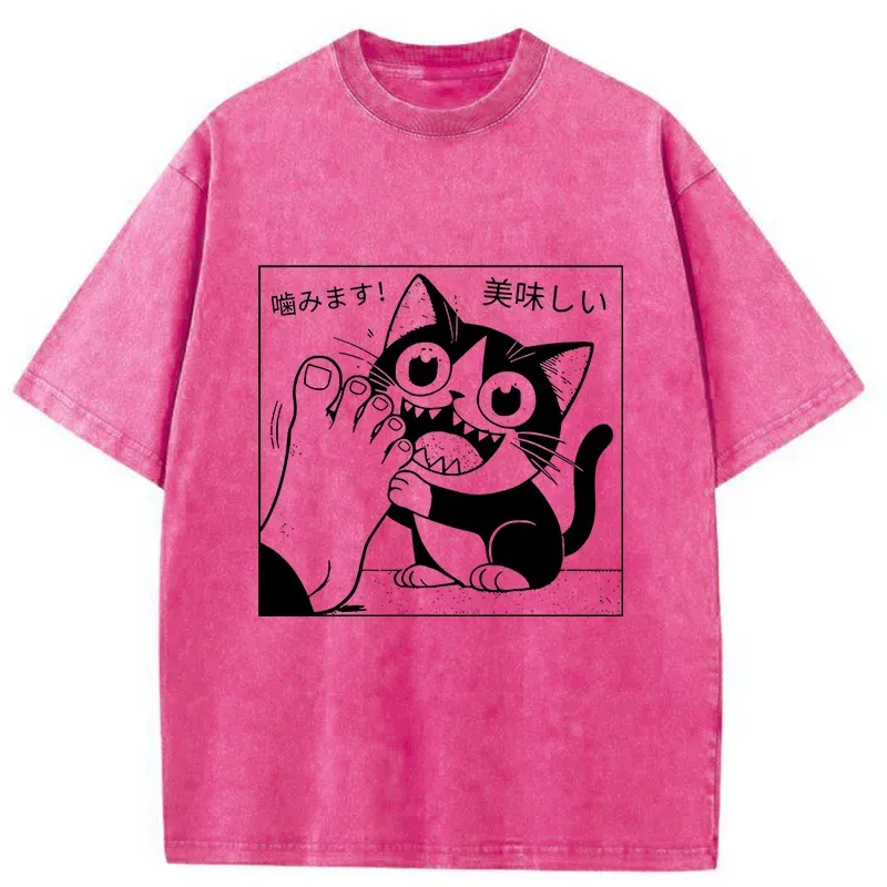 Tokyo-Tiger Japanese Apology Washed T-Shirt Sale