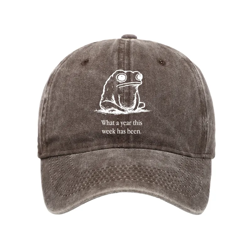 Tokyo-Tiger This Week Feels Like A Whole Year Washed Cap