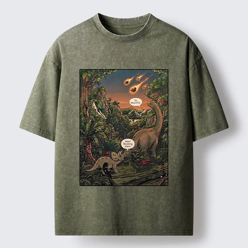 Tokyo‑Tiger Meteor Disaster Funny Washed T-Shirt