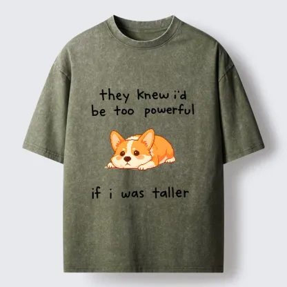 Tokyo-Tiger Funny Short Dog Joke Washed T-Shirt