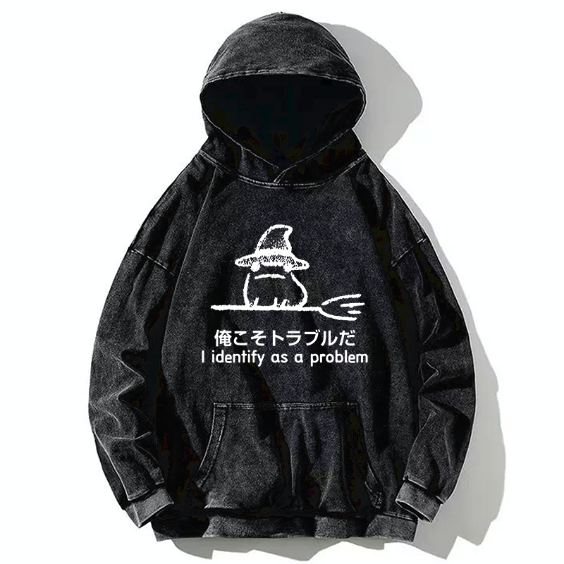 Tokyo-Tiger Mischief Magic Dude Washed Hoodie