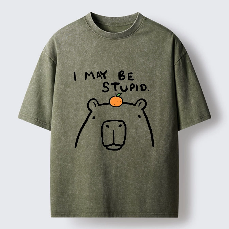 Tokyo‑Tiger Funny Capybara Orange Washed T‑Shirt