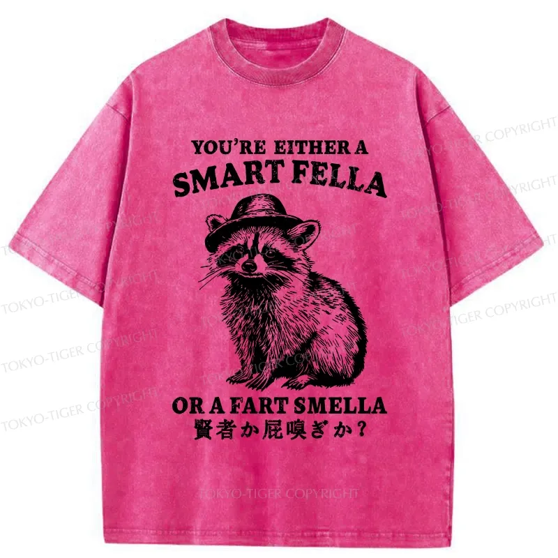 Tokyo-Tiger Sage Or Fart-sniffer Washed T-Shirt