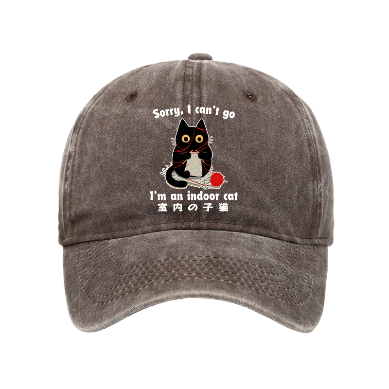Tokyo-Tiger Indoor Cat Meme Washed Cap