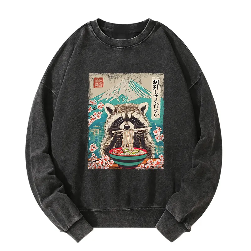 Tokyo-Tiger Please Give Raccoon A Discount Washed Sweatshirt