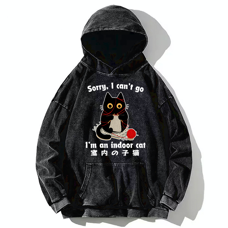 Tokyo-Tiger Indoor Cat Meme Washed Hoodie
