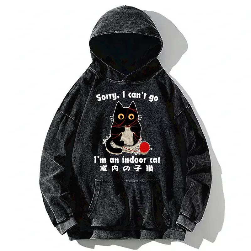 Tokyo-Tiger Indoor Cat Meme Washed Hoodie