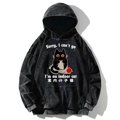 Tokyo-Tiger Indoor Cat Meme Washed Hoodie