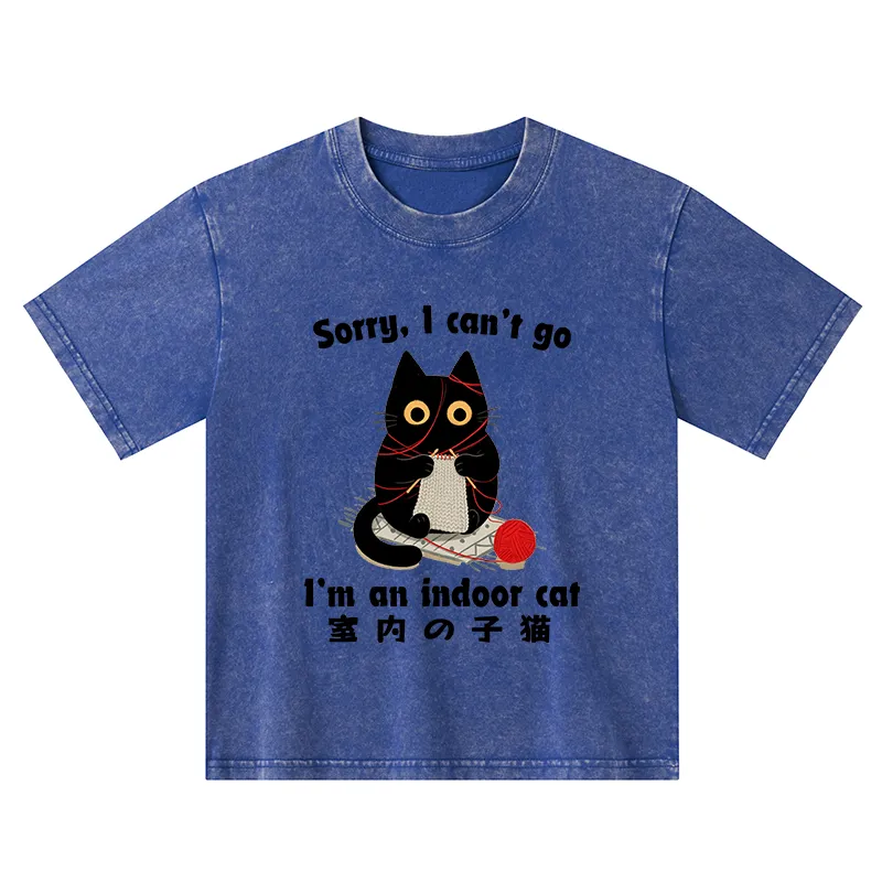 Tokyo-Tiger Indoor Cat Meme Kids Washed T-Shirt Sale