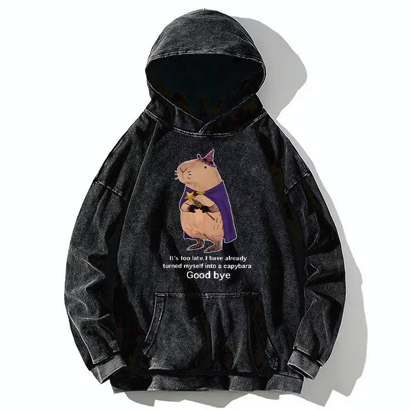 Tokyo-Tiger Funny Wizard Capybara Washed Hoodie