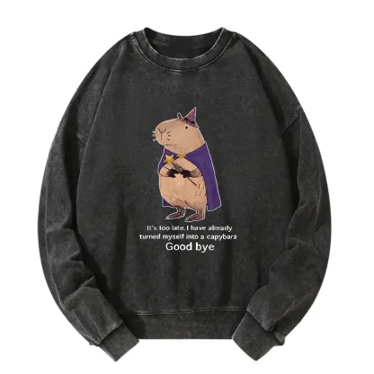Tokyo-Tiger Funny Wizard Capybara Washed Sweatshirt