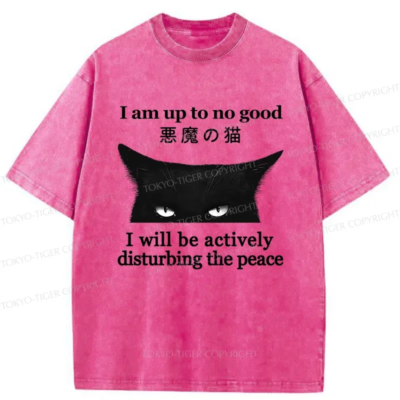 Tokyo-Tiger Cat Disturbing The Peace Washed T-Shirt