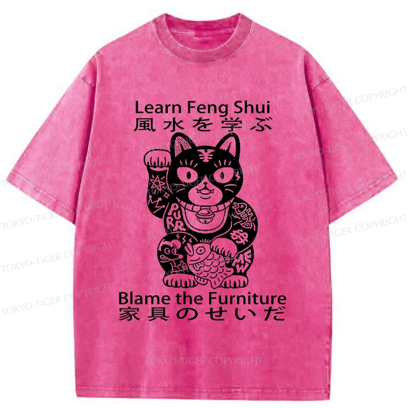 Tokyo-Tiger Learn Feng Shui Washed T-Shirt