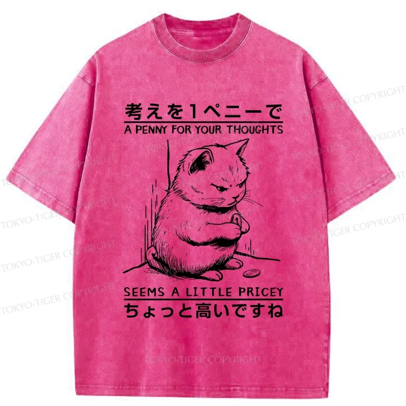 Tokyo-Tiger A Penny For Your Thoughts Washed T-Shirt