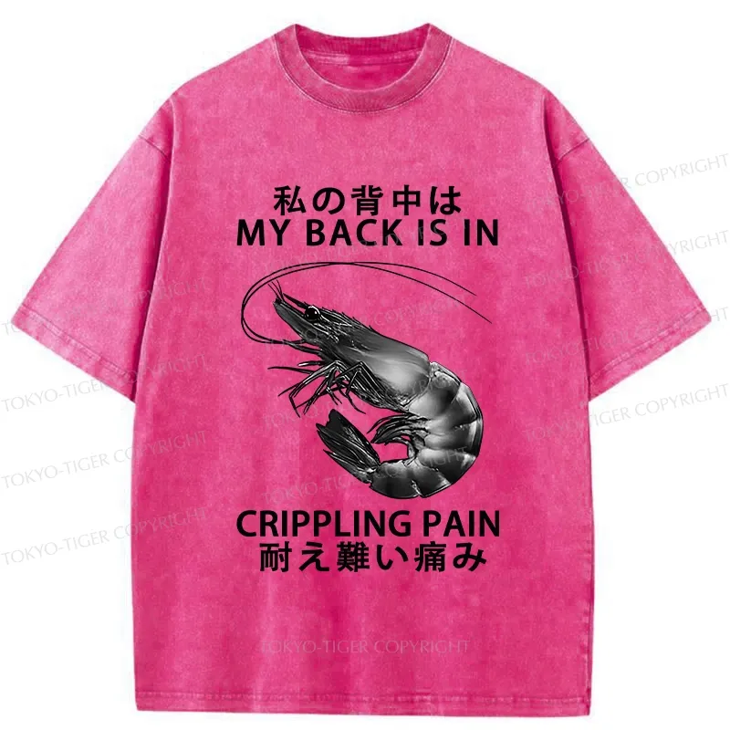 Tokyo-Tiger My Back Is In Crippling Pain Washed T-Shirt