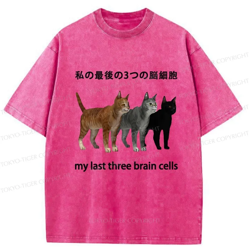 Tokyo-Tiger My Last Three Brain Cells Washed T-Shirt