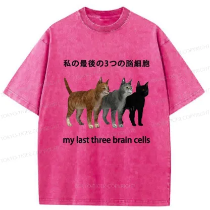 Tokyo-Tiger My Last Three Brain Cells Washed T-Shirt