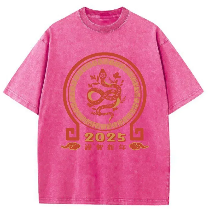 Tokyo-Tiger Celebrating The Year Of The Snake Washed T-Shirt