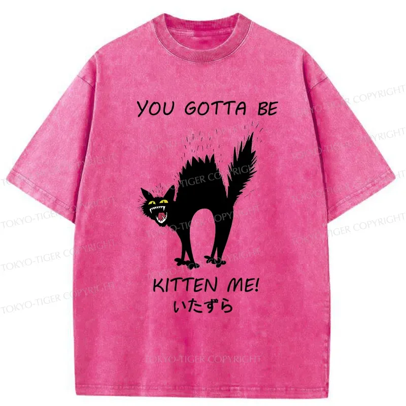 Tokyo-Tiger Cat Being Teased Washed T-Shirt