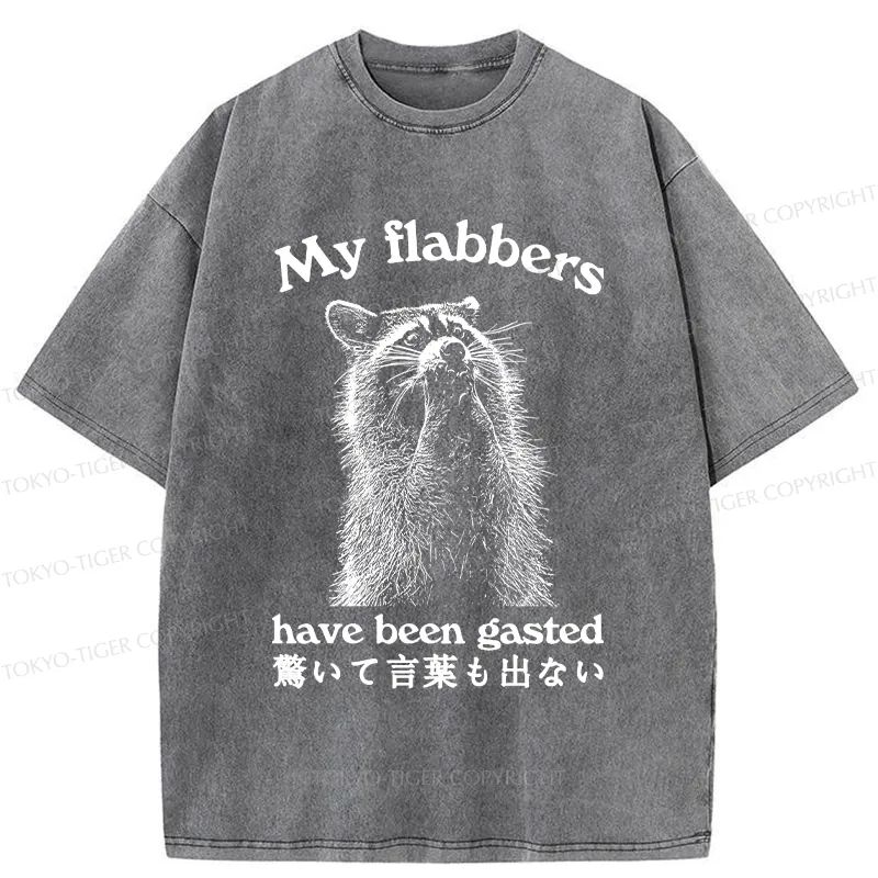 Tokyo-Tiger My Flabbers Have Been Gasted Washed T-Shirt